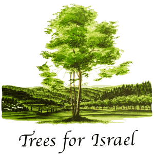 plant-a-tree-israel-cat2