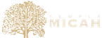 Temple-Micah-Logo