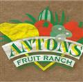 Antons Fruit Ranch