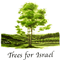 Plant a Tree