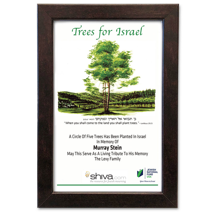 plant-a-tree-cert-with-frame