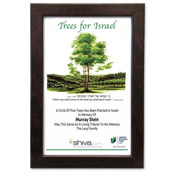 plant-a-tree-cert-with-frame