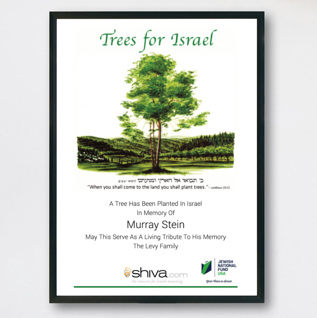 shiva_TreesForIsrael_product-image