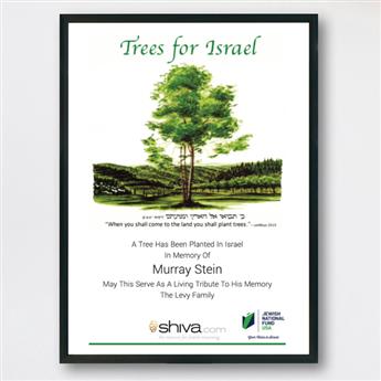 shiva_TreesForIsrael_product-image