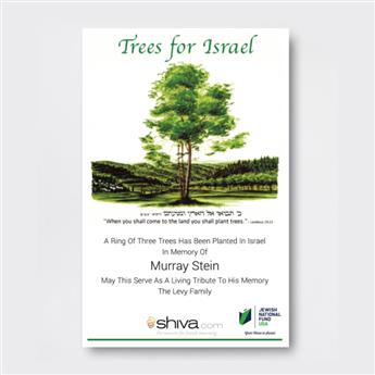 shiva_Subscription_RingOf3Trees_product-image